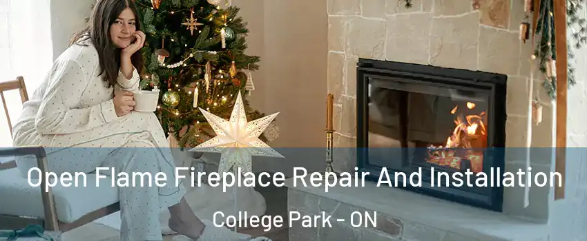  Open Flame Fireplace Repair And Installation College Park - ON