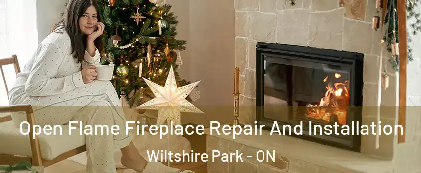  Open Flame Fireplace Repair And Installation Wiltshire Park - ON