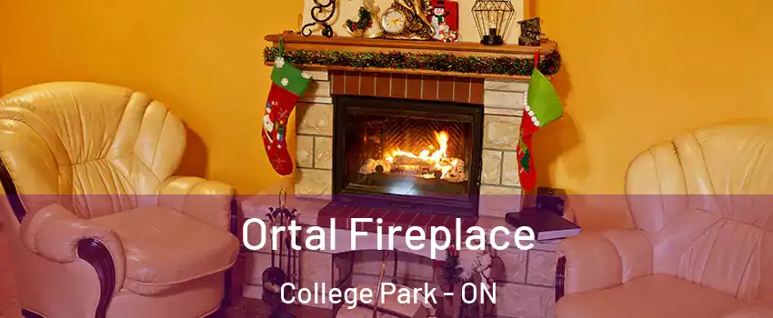  Ortal Fireplace College Park - ON