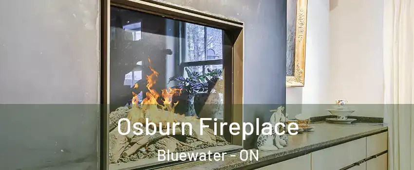  Osburn Fireplace Bluewater - ON