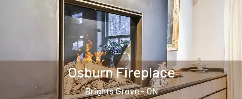  Osburn Fireplace Brights Grove - ON