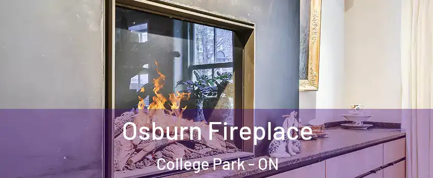  Osburn Fireplace College Park - ON
