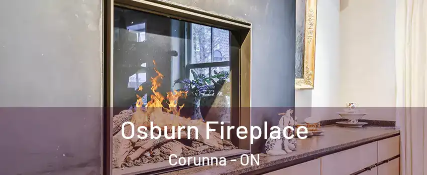 Osburn Fireplace Corunna - ON