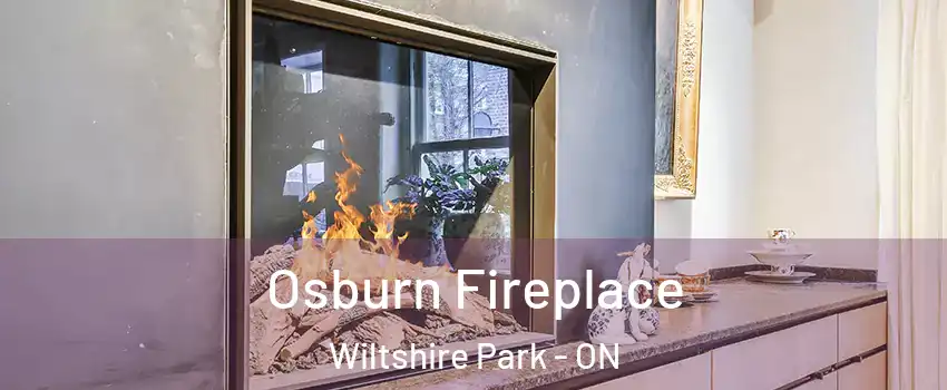  Osburn Fireplace Wiltshire Park - ON