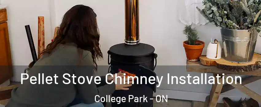  Pellet Stove Chimney Installation College Park - ON
