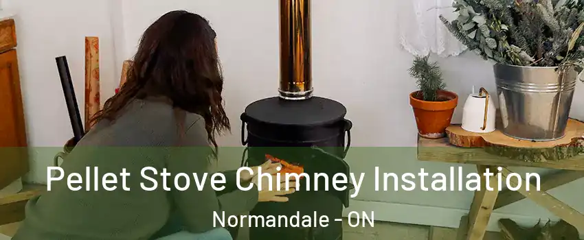  Pellet Stove Chimney Installation Normandale - ON