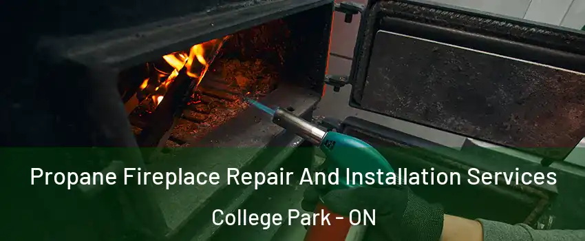  Propane Fireplace Repair And Installation Services College Park - ON