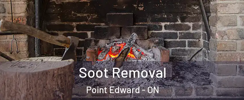  Soot Removal Point Edward - ON