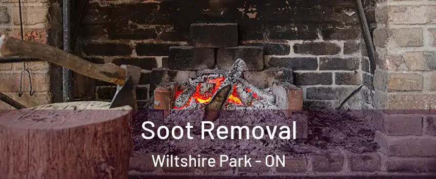  Soot Removal Wiltshire Park - ON