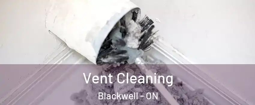  Vent Cleaning Blackwell - ON