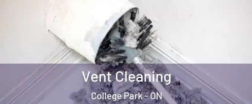  Vent Cleaning College Park - ON