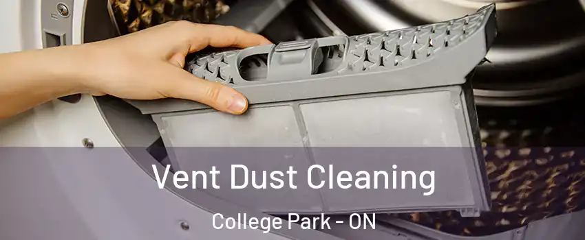 Vent Dust Cleaning College Park - ON