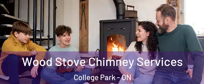  Wood Stove Chimney Services College Park - ON