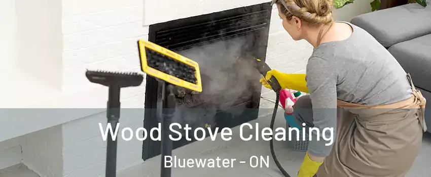  Wood Stove Cleaning Bluewater - ON