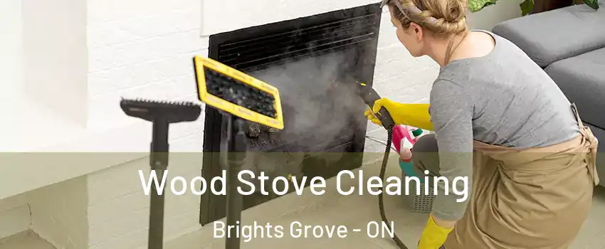  Wood Stove Cleaning Brights Grove - ON
