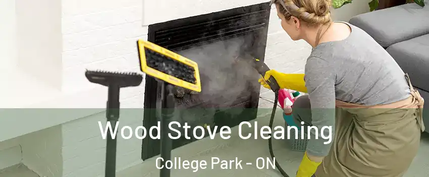  Wood Stove Cleaning College Park - ON