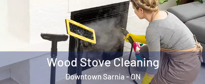  Wood Stove Cleaning Downtown Sarnia - ON
