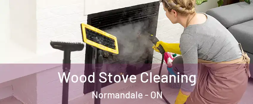  Wood Stove Cleaning Normandale - ON