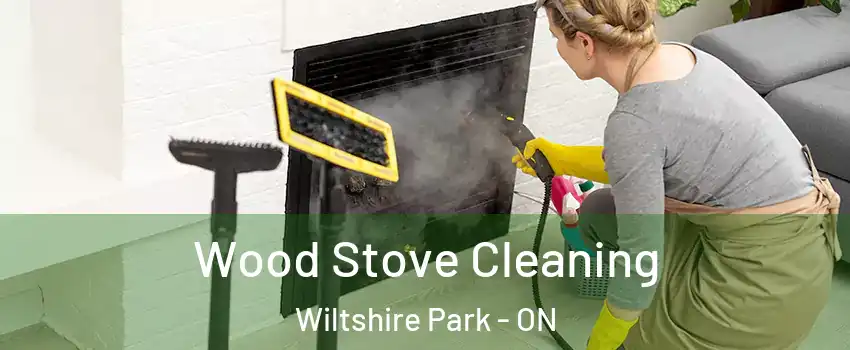  Wood Stove Cleaning Wiltshire Park - ON